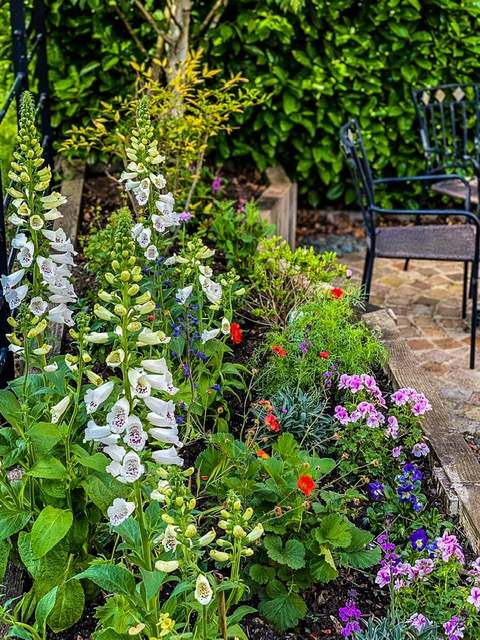 Pretty Perennial Border